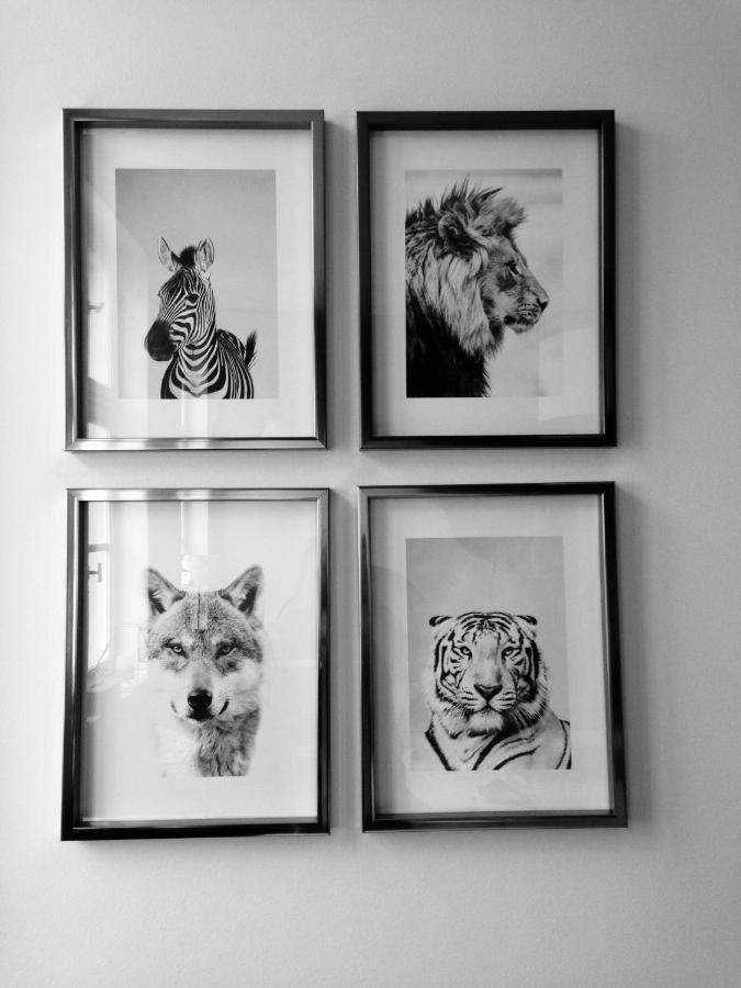 Chambre D 'Hotes Chez Manon Et Hugo Béthune Exteriör bild